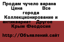 Продам чучело варана › Цена ­ 15 000 - Все города Коллекционирование и антиквариат » Другое   . Крым,Феодосия